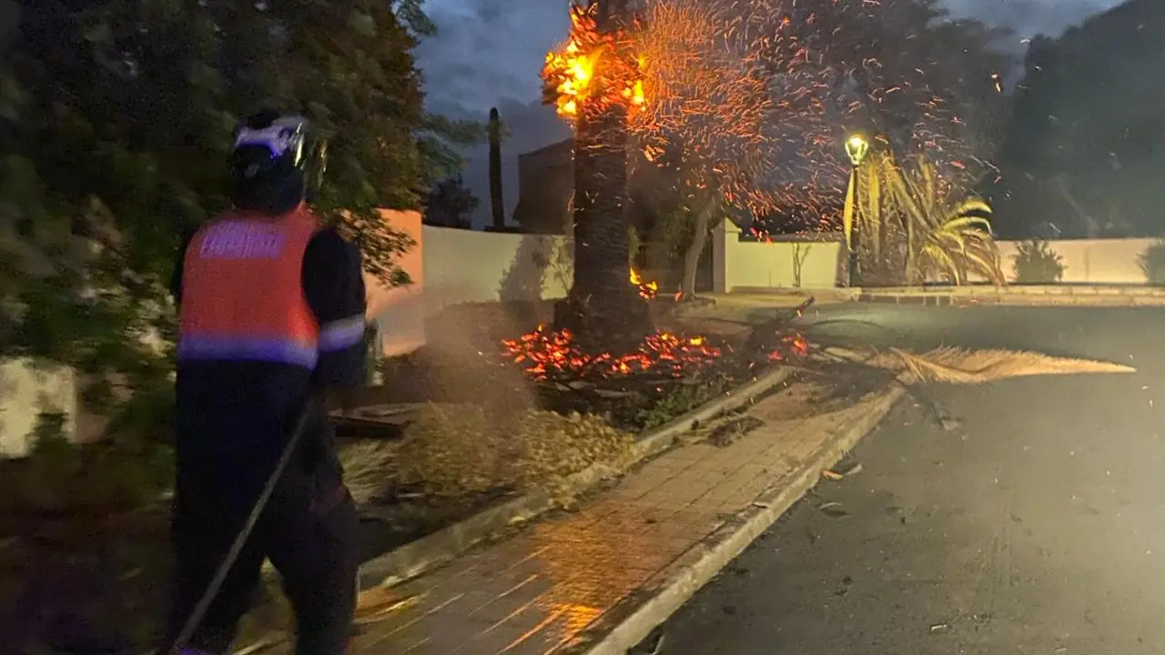 Incendio palmera Costa Teguise