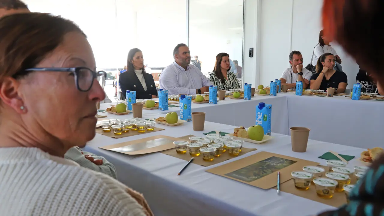 Cata de aceites de oliva.