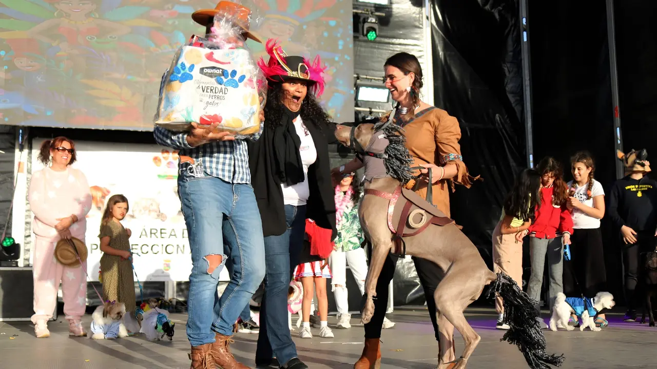 Fantasía ganadora.