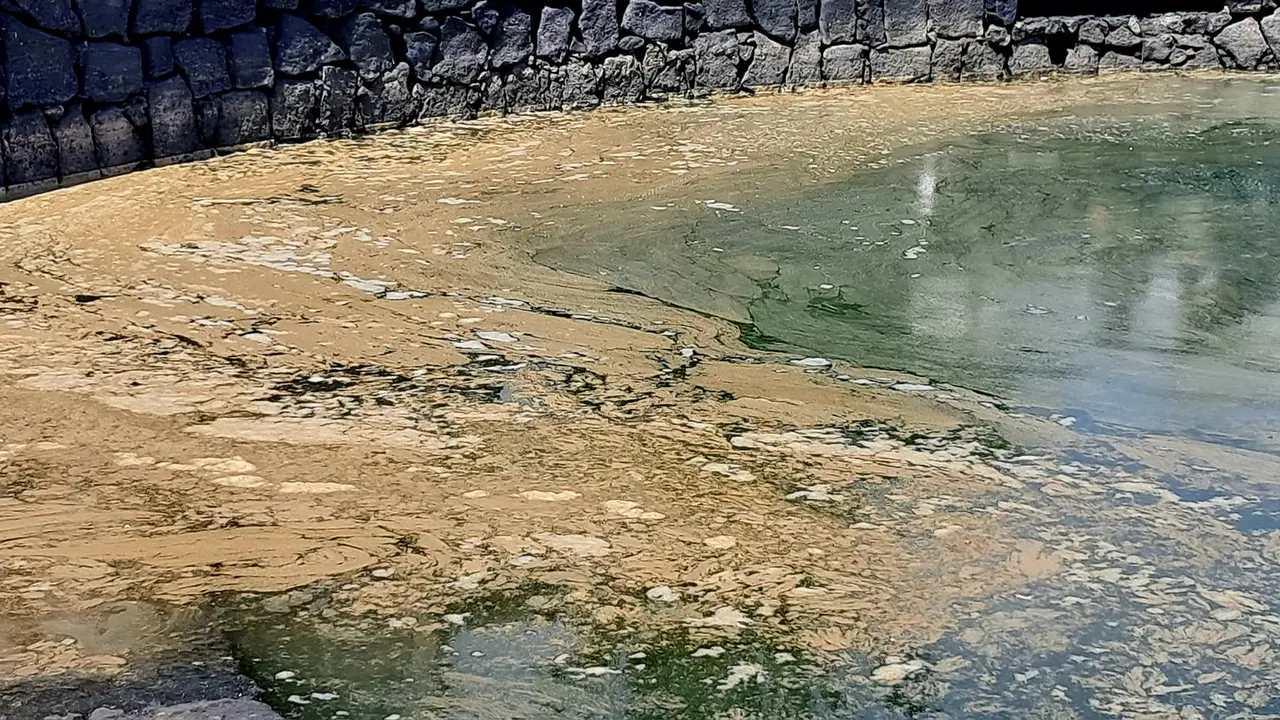 Manchas en el Charco de San Ginés.