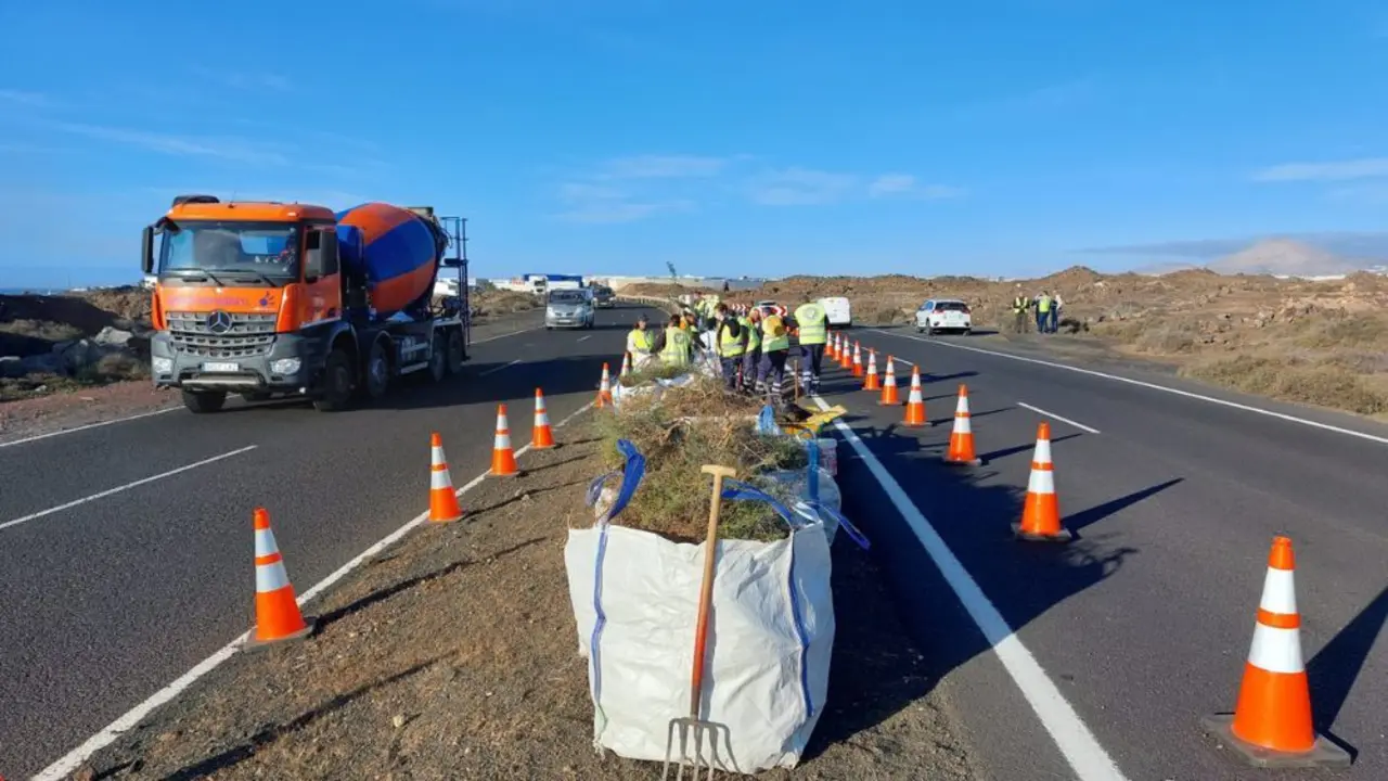 Limpieza de los márgenes de carretera