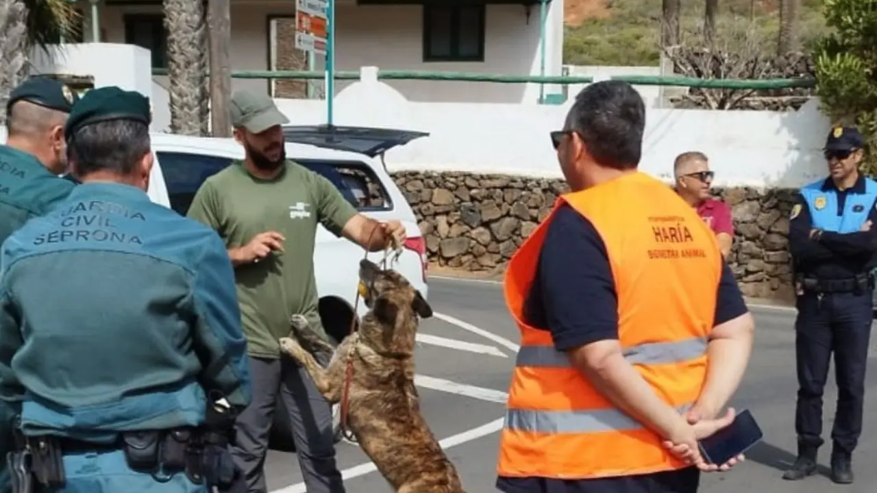 Inspeccción en el municipio de Haría