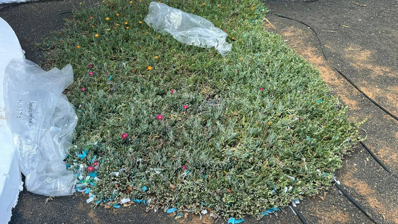Basura tras la Feria de Abril.