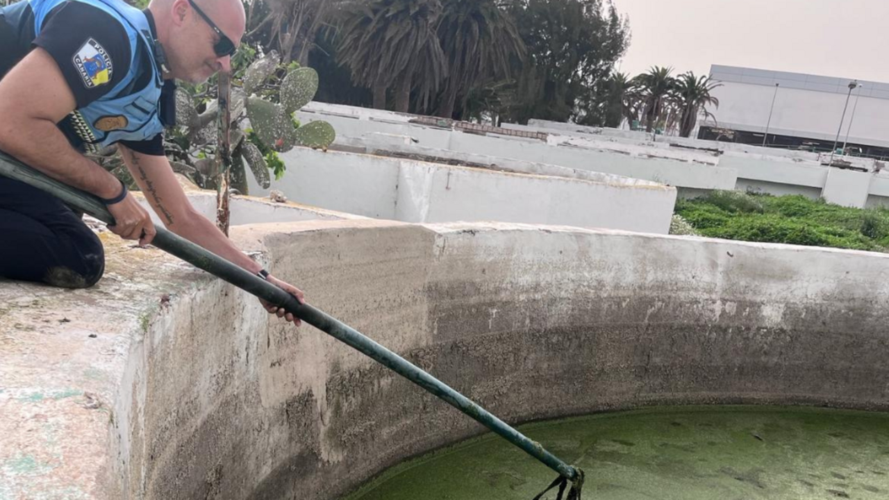 La Policía Local de Arrecife en la intervención.