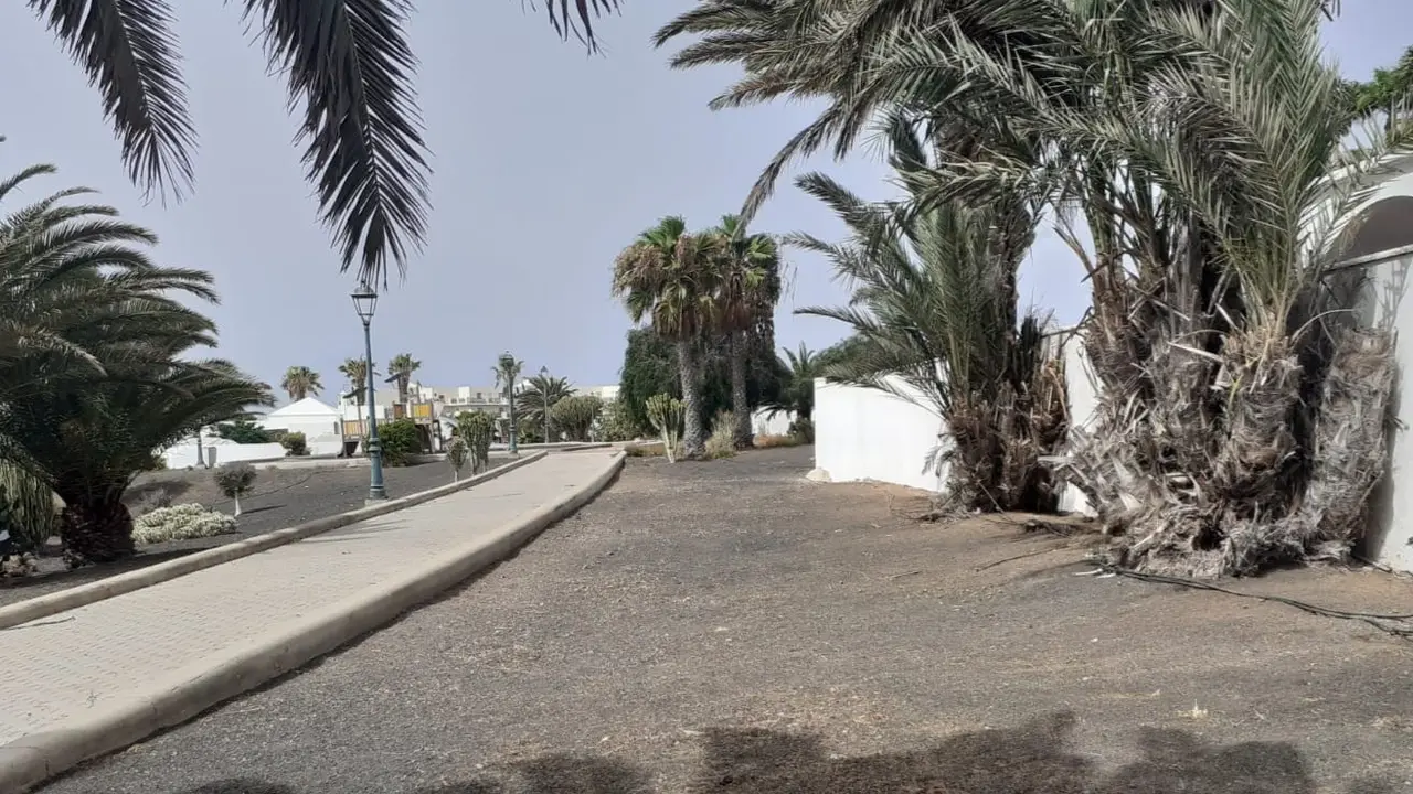 Jardines de Costa Teguise.