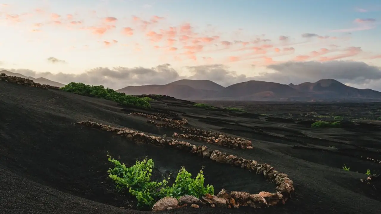 Paisaje de La Geria.