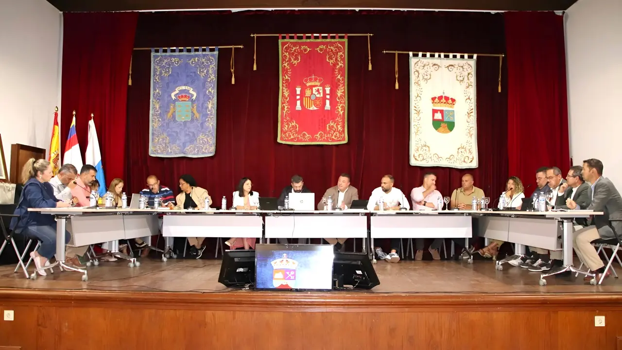 Sesión plenaria de este 29 de abril en Yaiza.