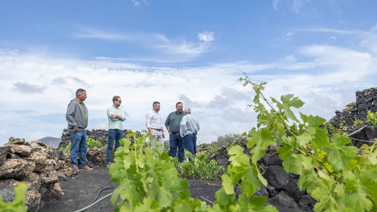 Visita a La Geria. Finca de Luis Fuentes.
