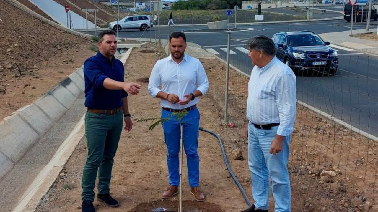 Zona de la plantación