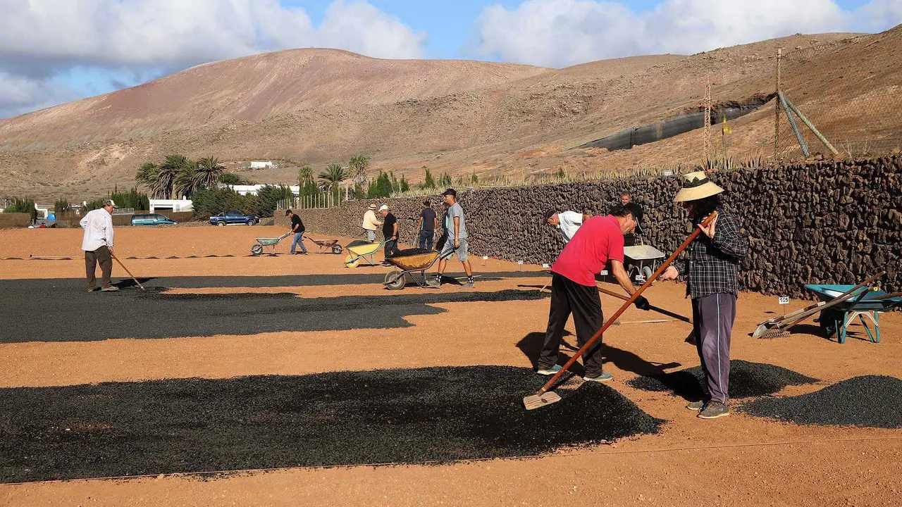 Plantación Cabildo.