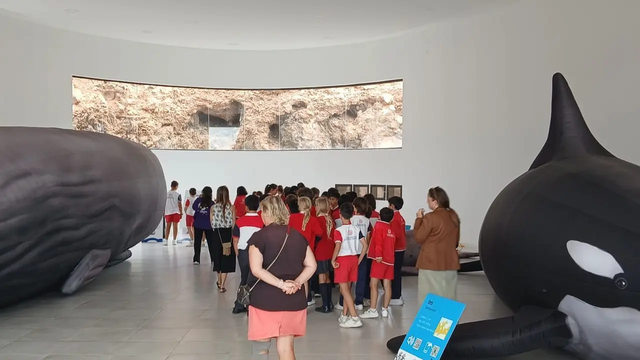 Exposición Cetáceos.