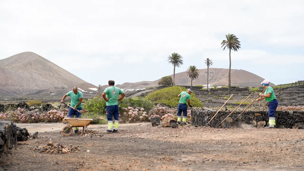 Limpieza de "La Geria".