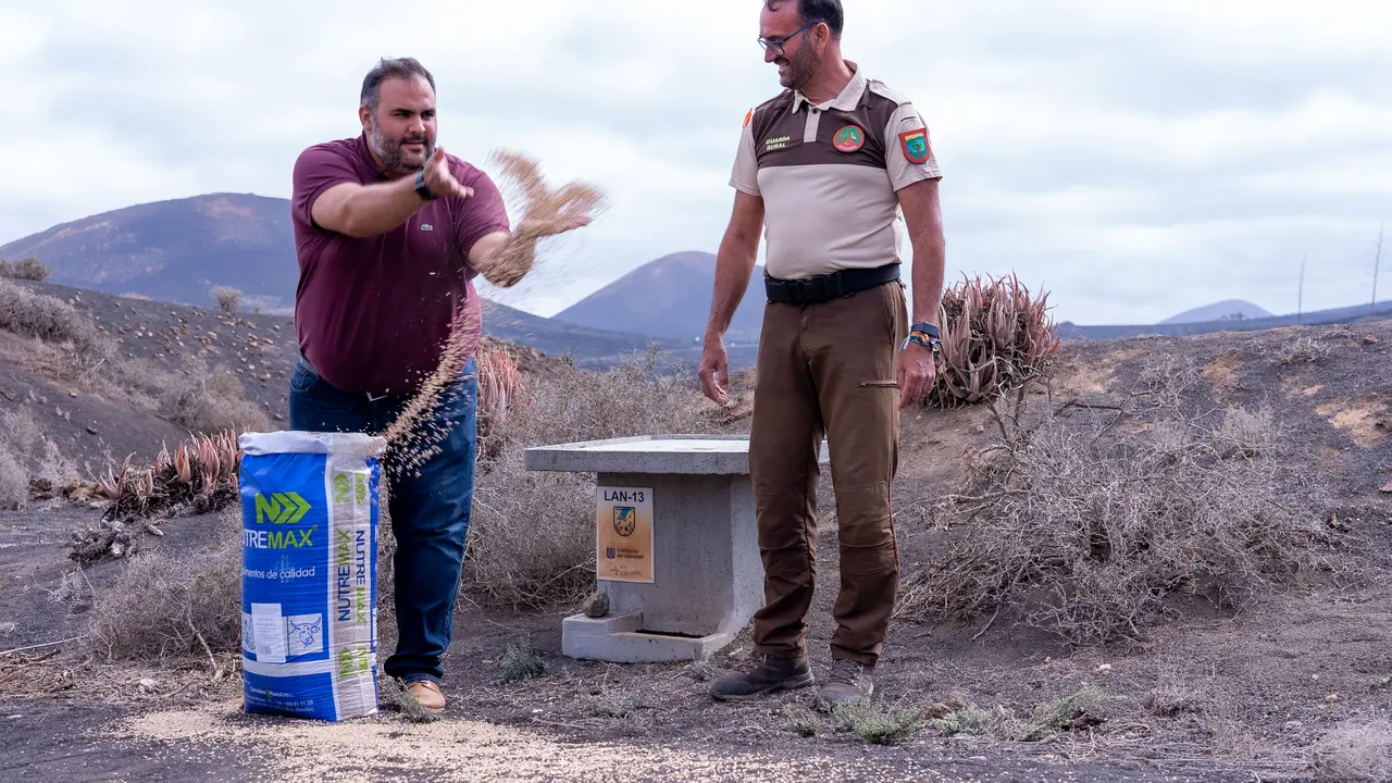 Alimentación especies cinegéticas.