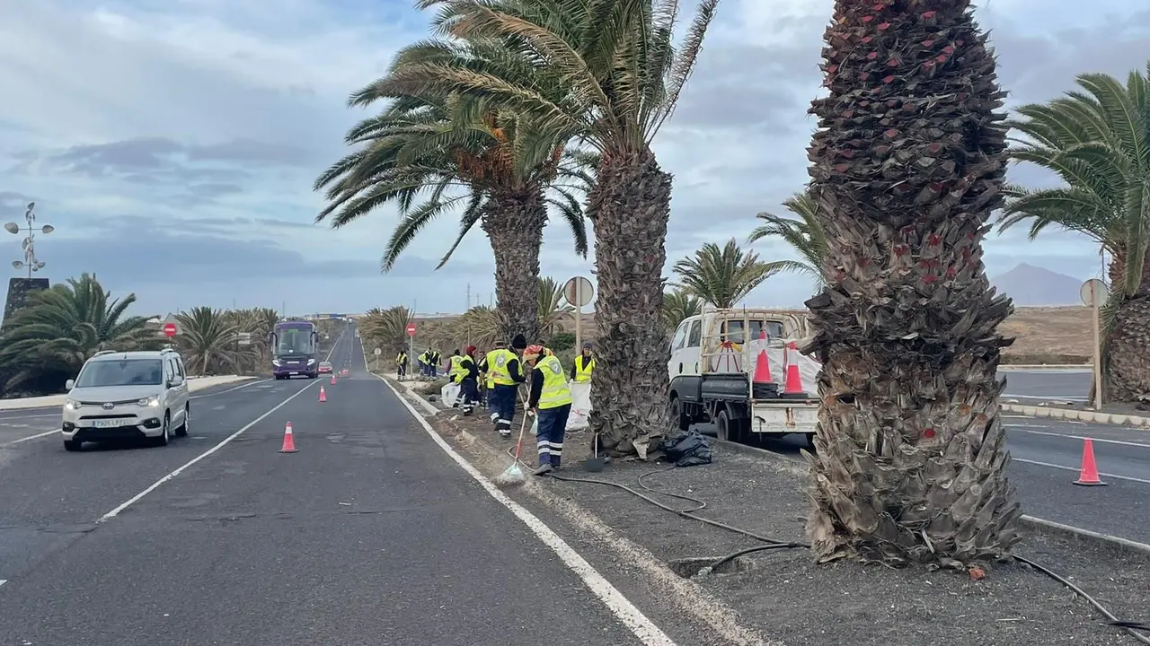 Avenida de Las Palmeras. Imagen de archivo.