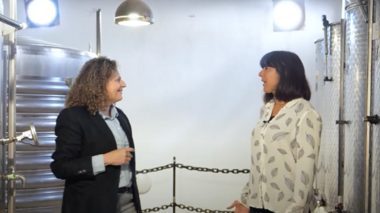 'Diálogos para la Tierra'.