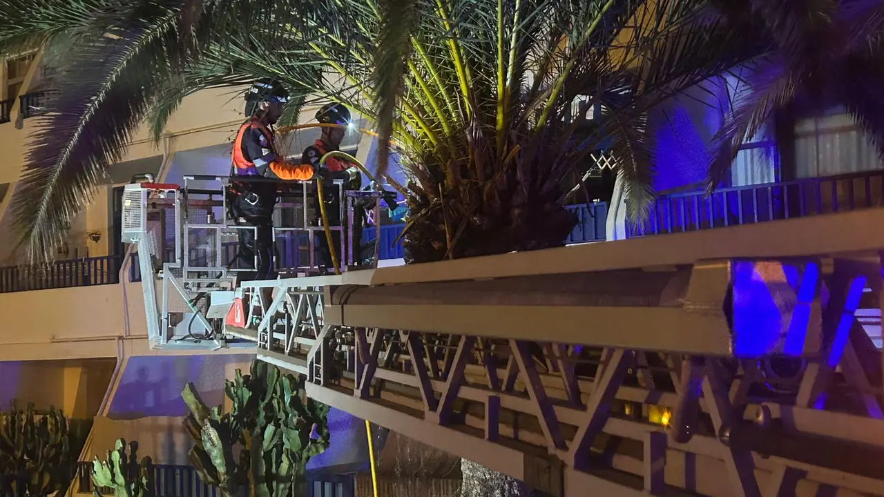 Incendio de una palmera en Puerto del Csrmen.