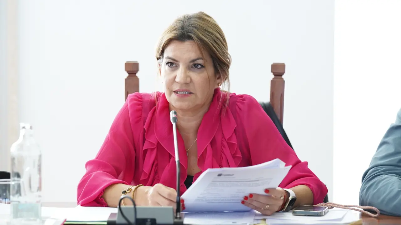 La consejera de Hacienda y Contratación, María Jesús Tovar.