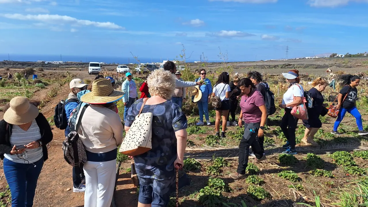 Fundación Líneas Romero y el proyecto Avante, acción Merendero de Tegoyo.
