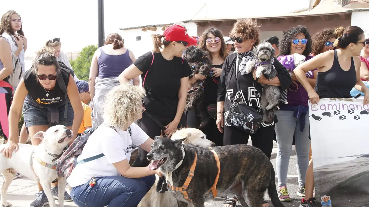 Caminata de animales.