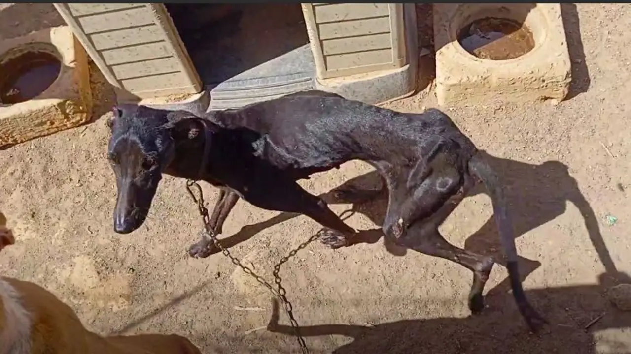 WhatsApp Image 2024-08-12 at 10.19.54 (1)