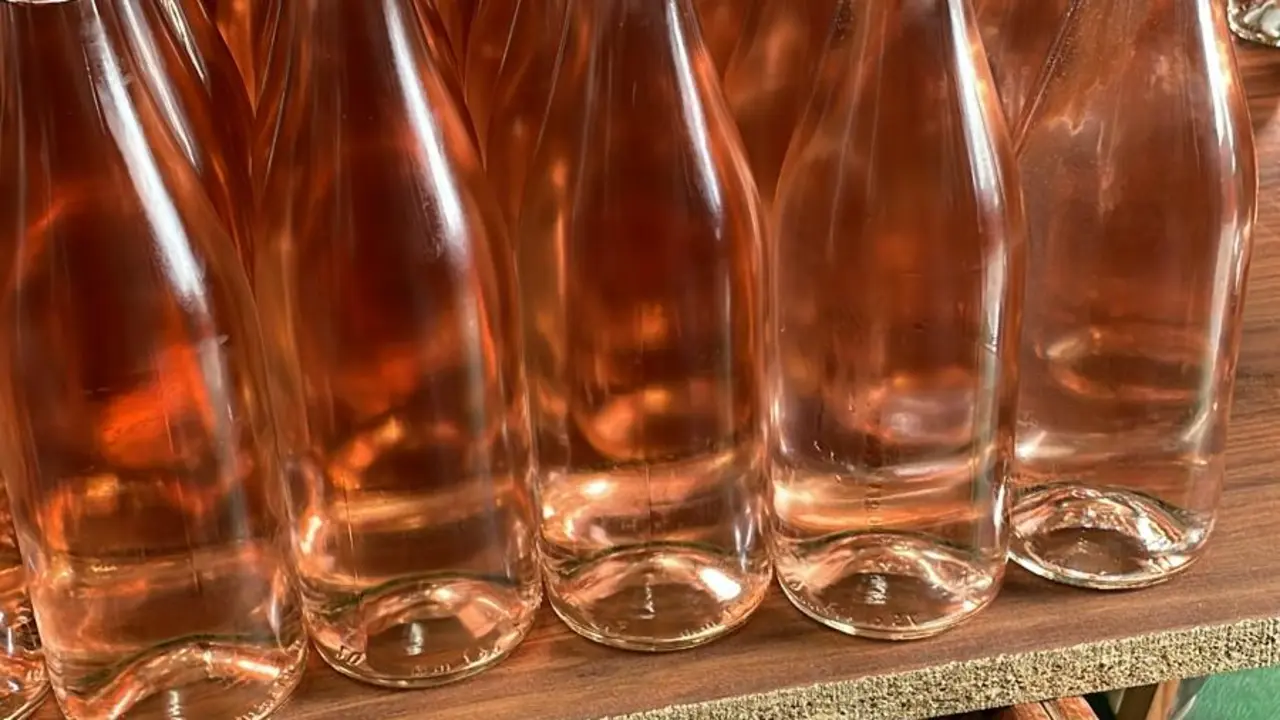 Embotellado Bodega Tierra Viva.