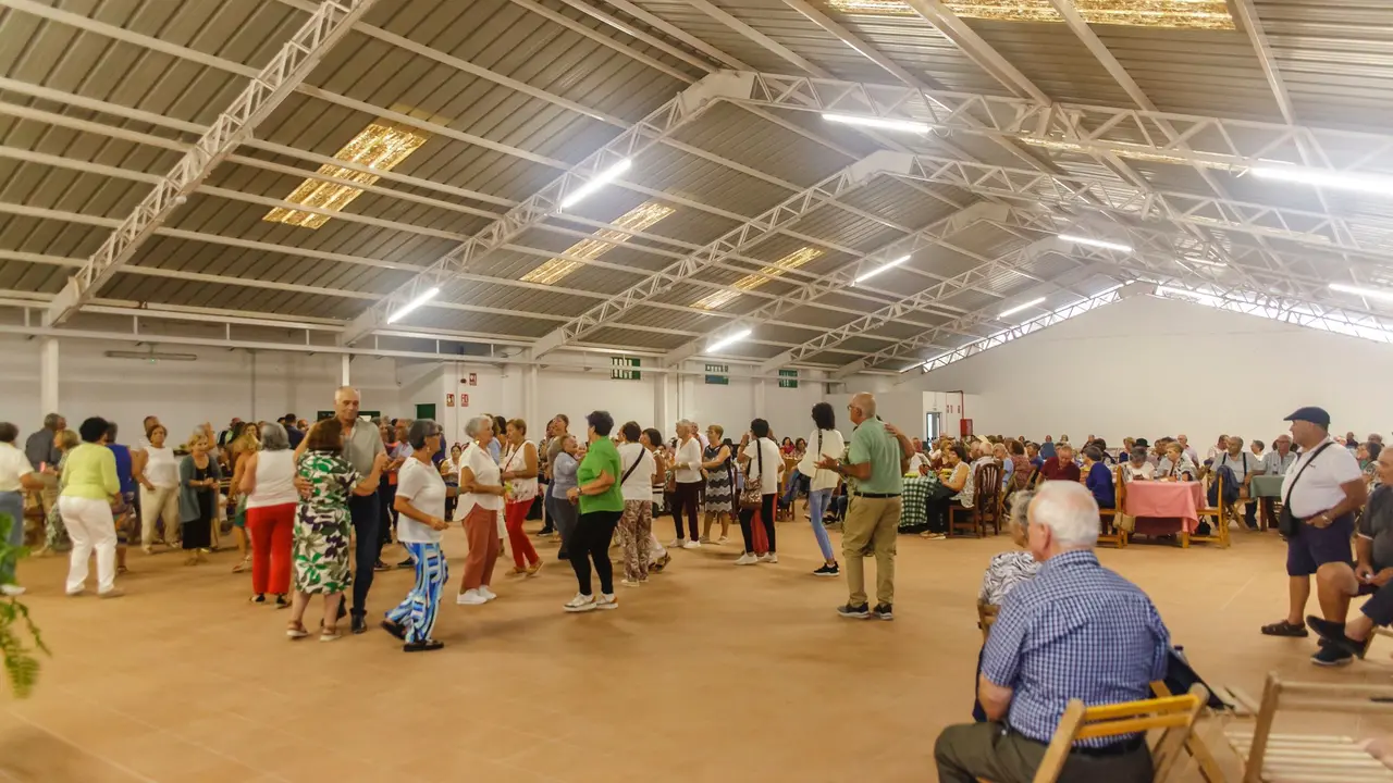 Consejo Insular de Mayores.