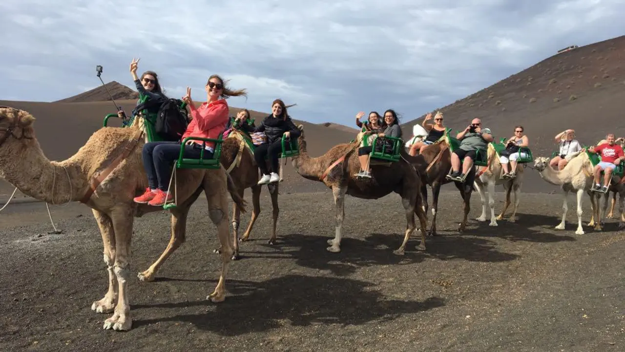 Tradicional paseo en camello en Timanfaya.