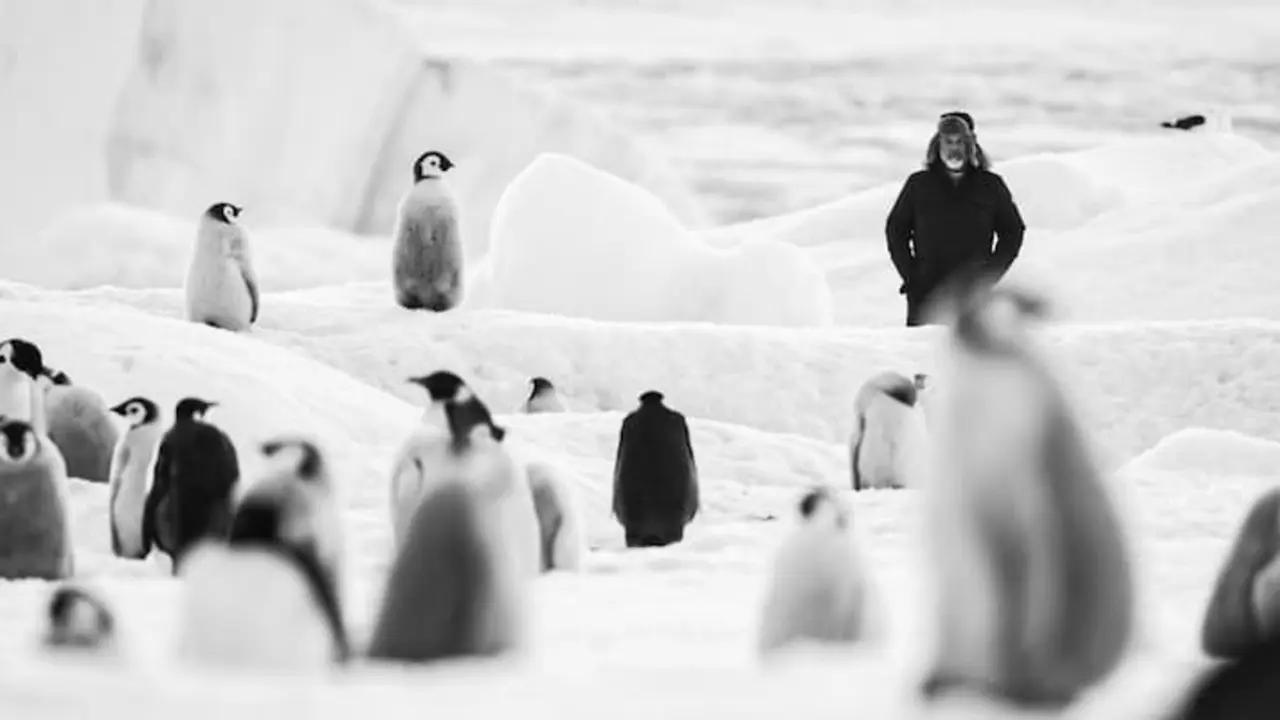 Paprika Films. Luc Jacquet.