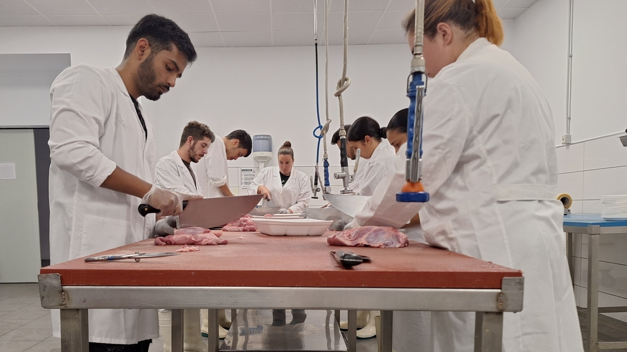 Momento de uno de los cursos de formación.