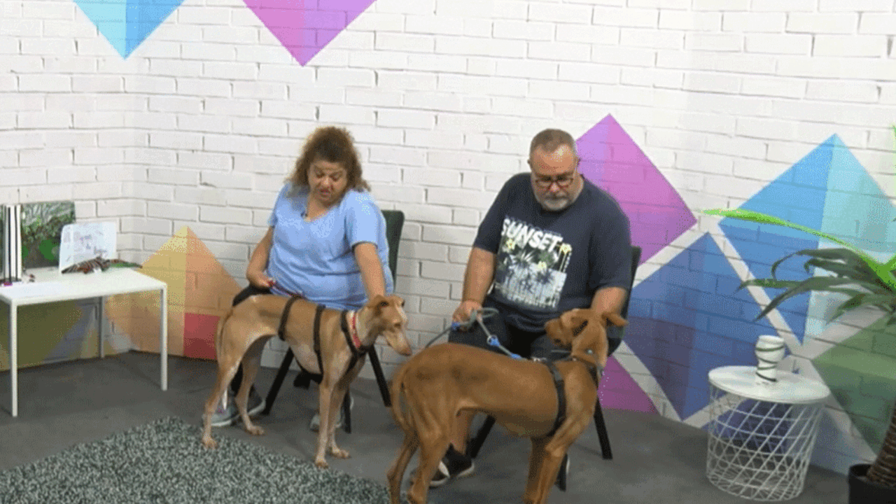 Mari Carmen Parodi y Xabier Basterretxea