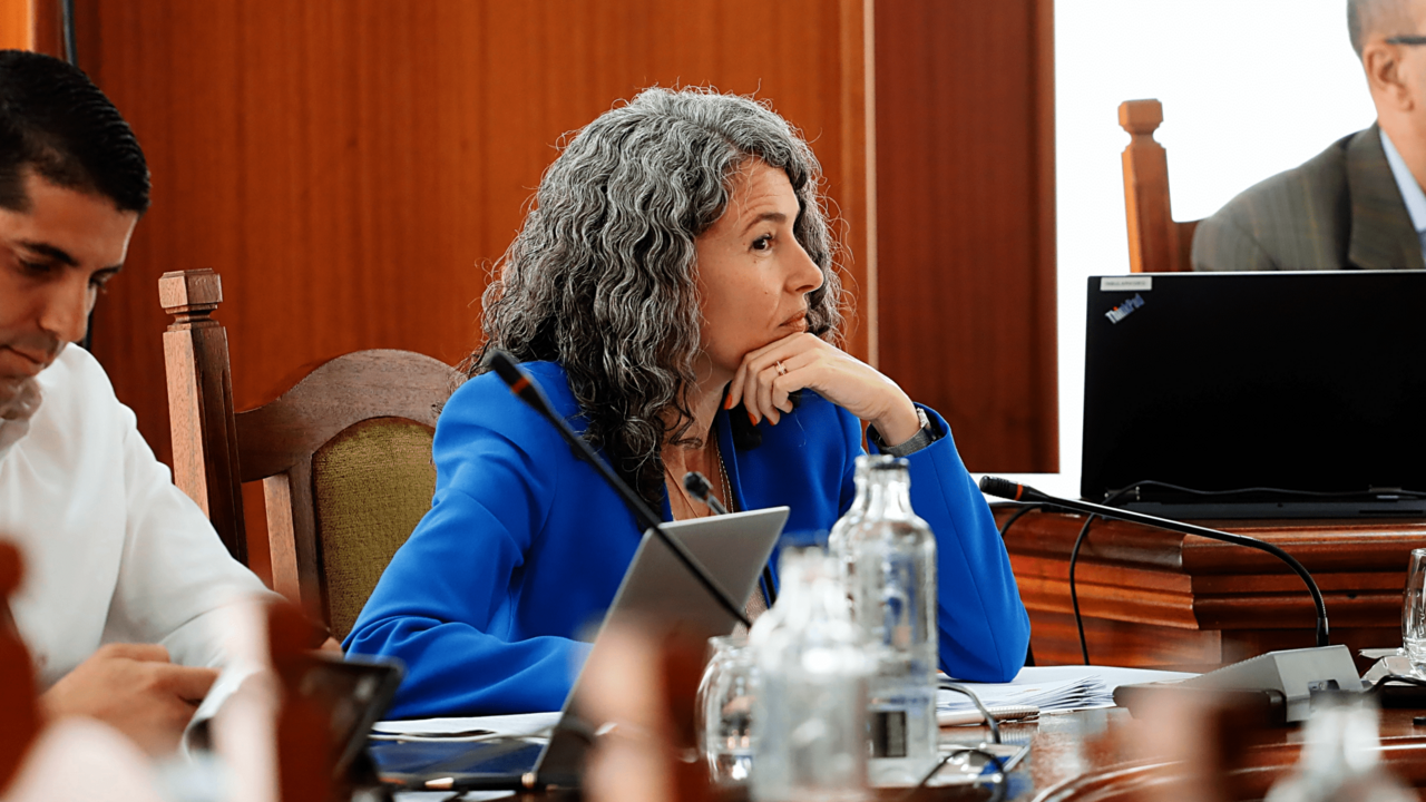 Ariagona Gonz&aacute;lez.