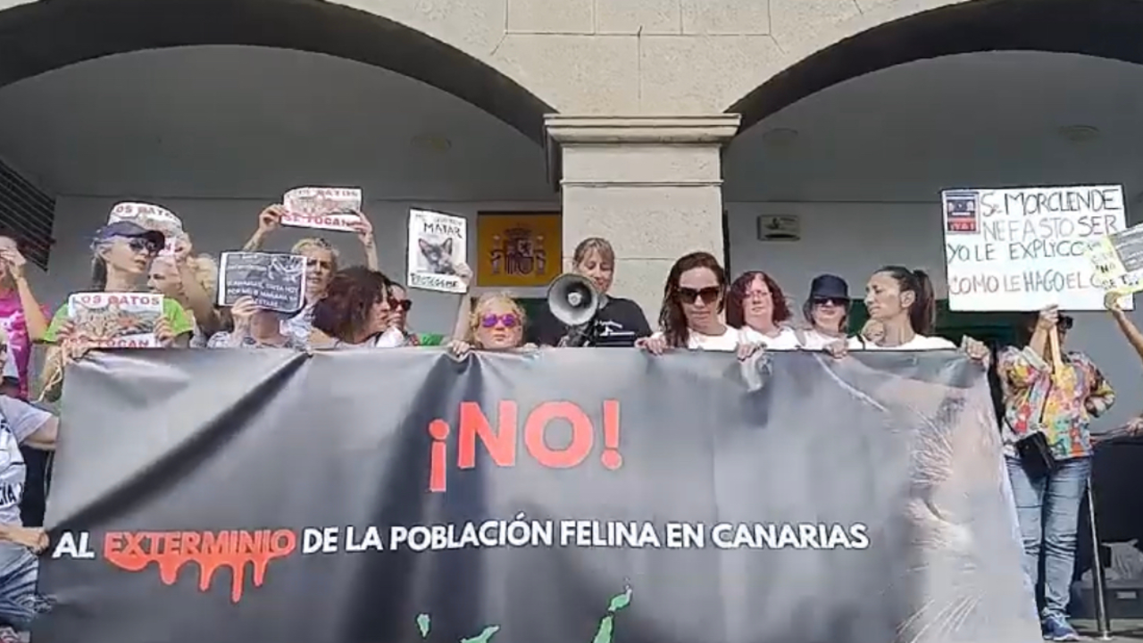 Manifestación contra los gatos.