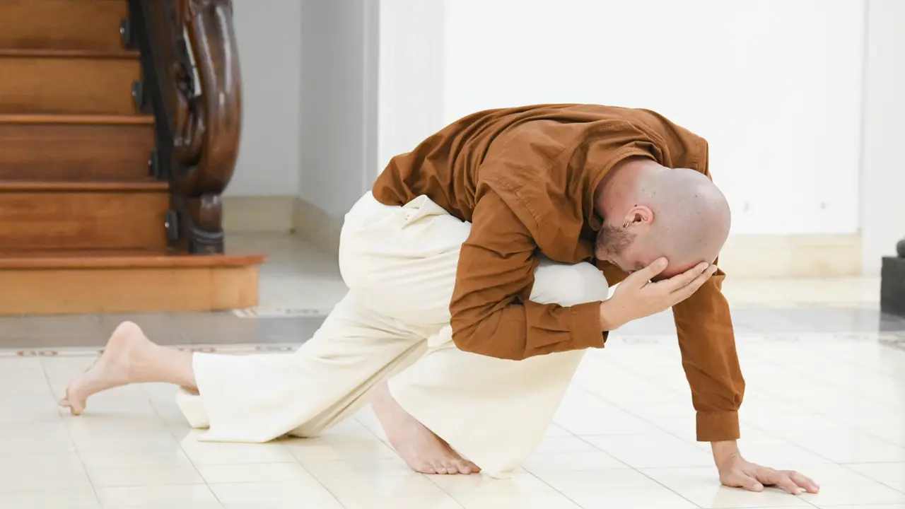 Presentaci&oacute;n del Festival de Danza Traslaci&oacute;n.