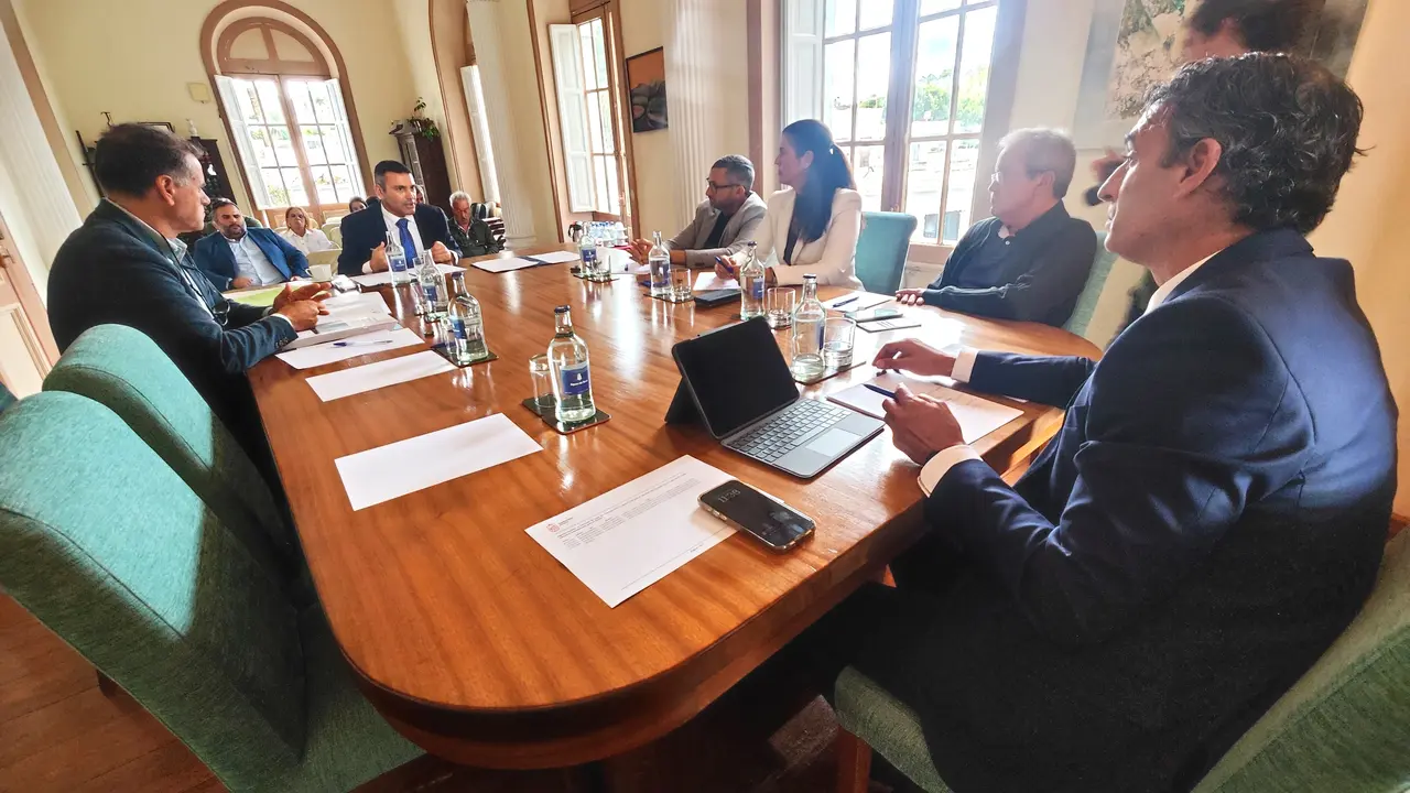 REUNIÓN CABILDO LANZAROTE Y HARÍA 3