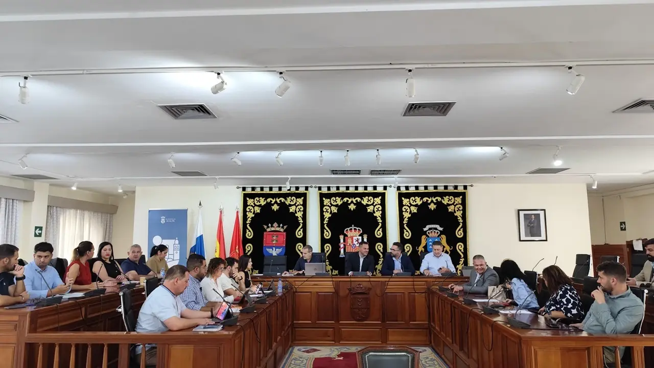 Pleno Arrecife 22 de noviembre (2)