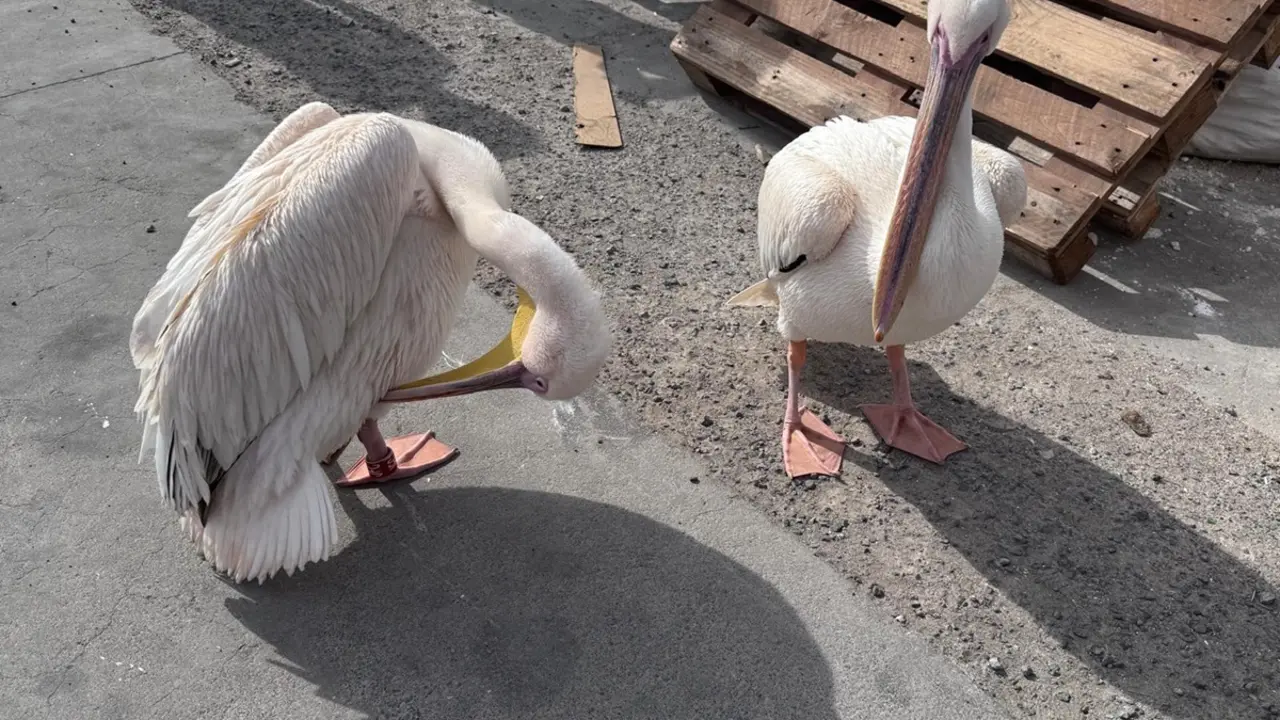 WhatsApp Image 2024-12-10 at 18.21.52