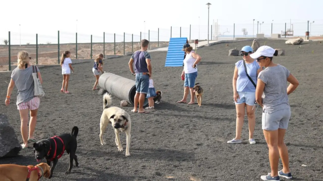 Jornadas de bienestar animal