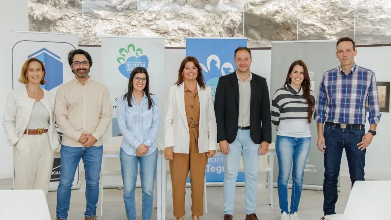 Control de colonias felinas en Teguise