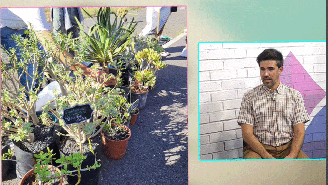 Mat&iacute;as Hern&aacute;ndez