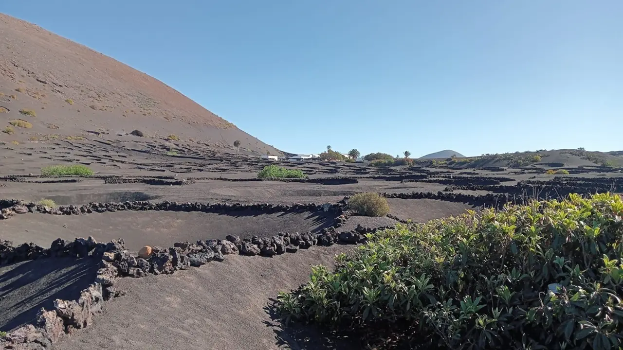 La Geria (Imagen: Archivo)