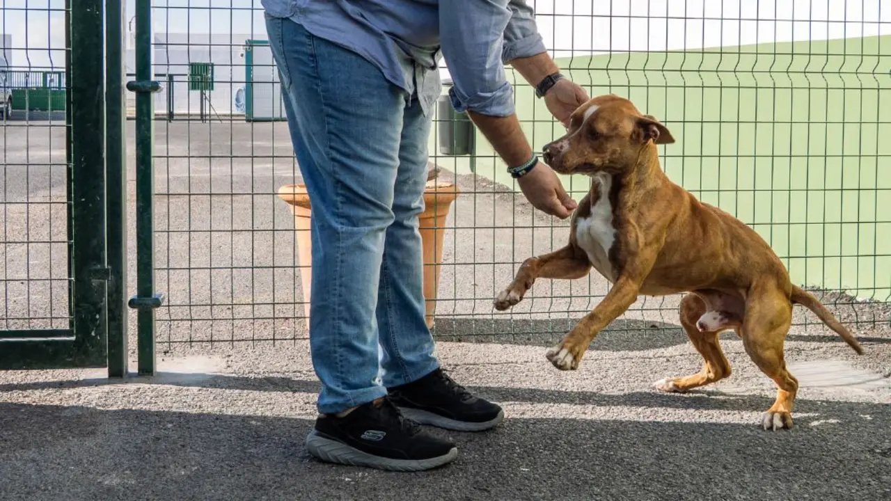 Estado actual de Mency