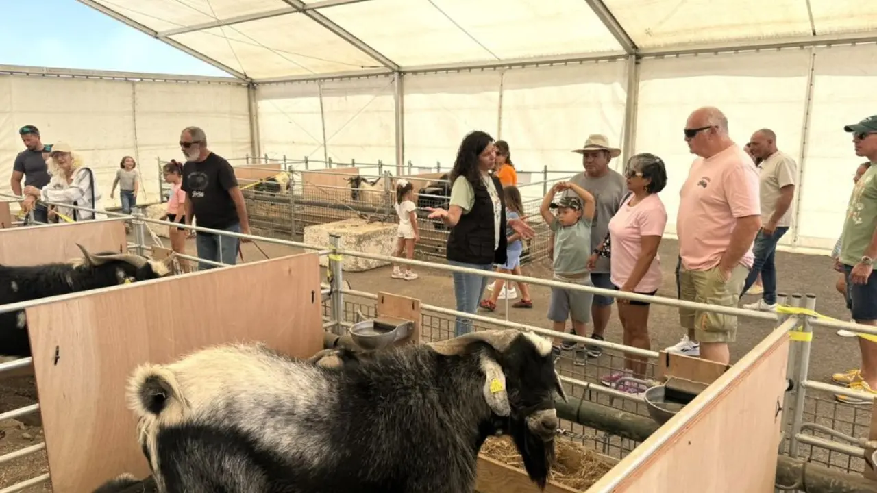 Feria de ganado de Uga