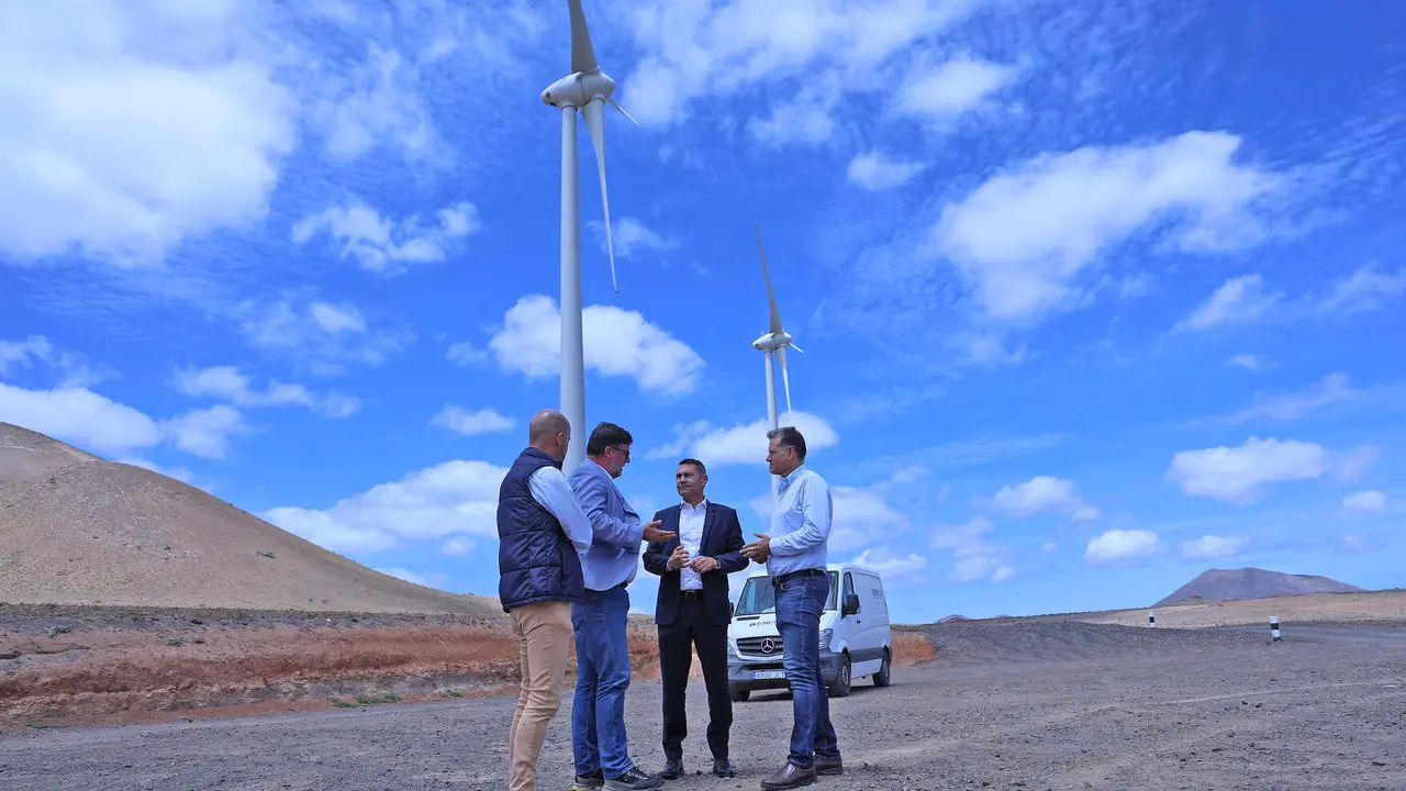 Parque Eólico de San Bartolomé  (2)