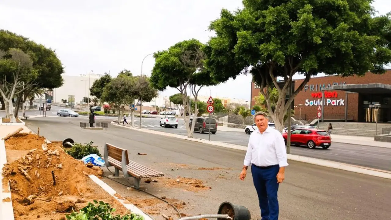 El concejal durante la sustitución de llos laureles de indias