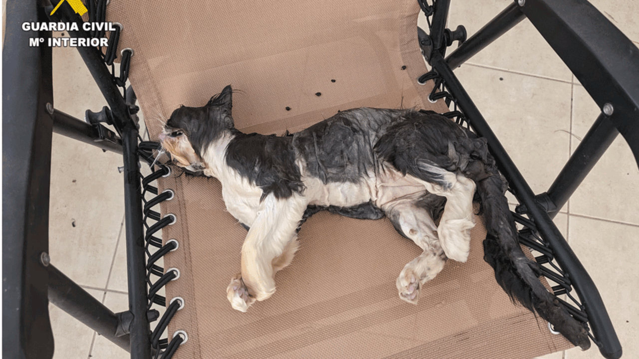 Imagen facilitada por la Guardia Civil
