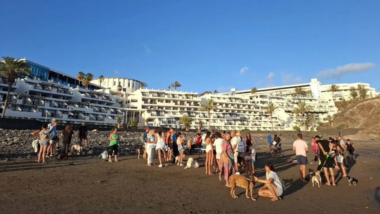 Mascotas en la playa de Las Coloradas