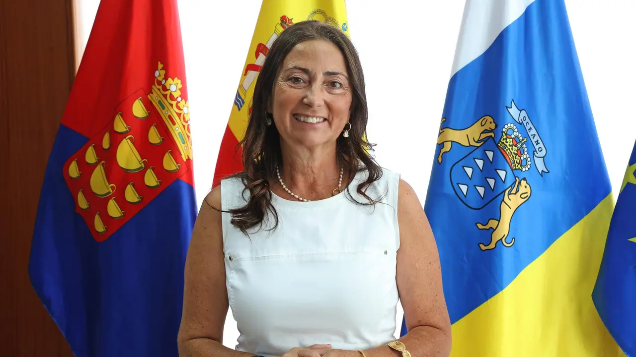 Ascensi&oacute;n Toledo Hern&aacute;ndez,  (7)