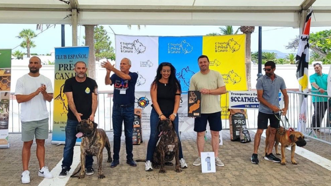 encuentro didáctico