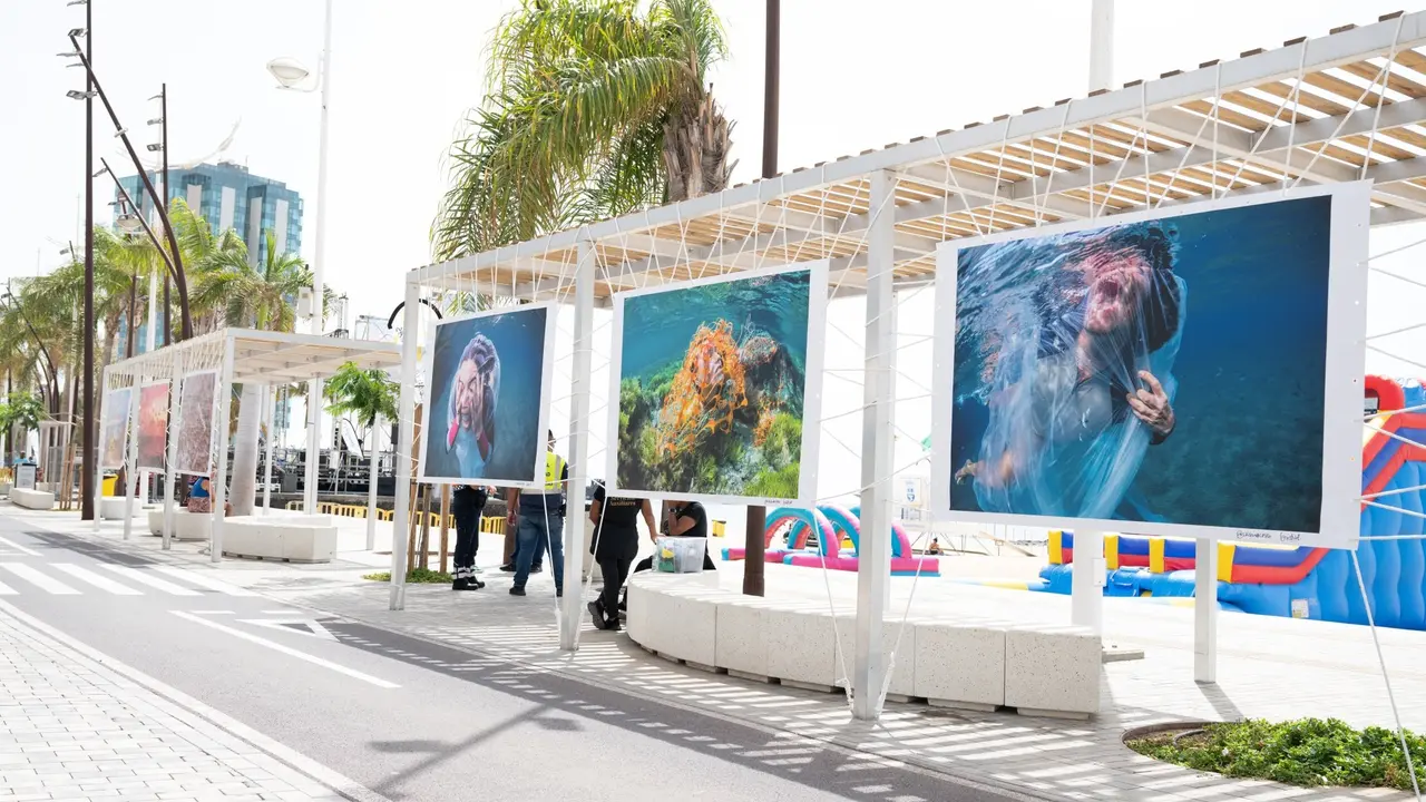 Exposición Gritos del Azul