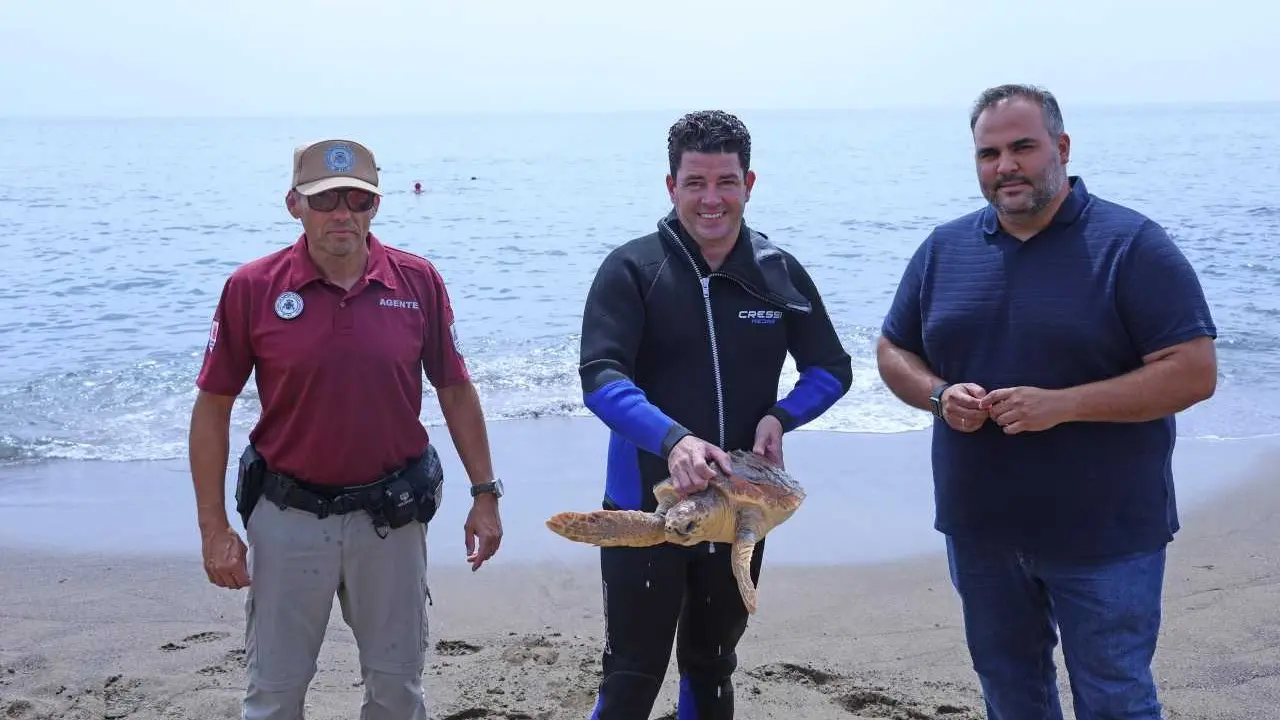 Devuelta al mar la tortuga boba rescatada